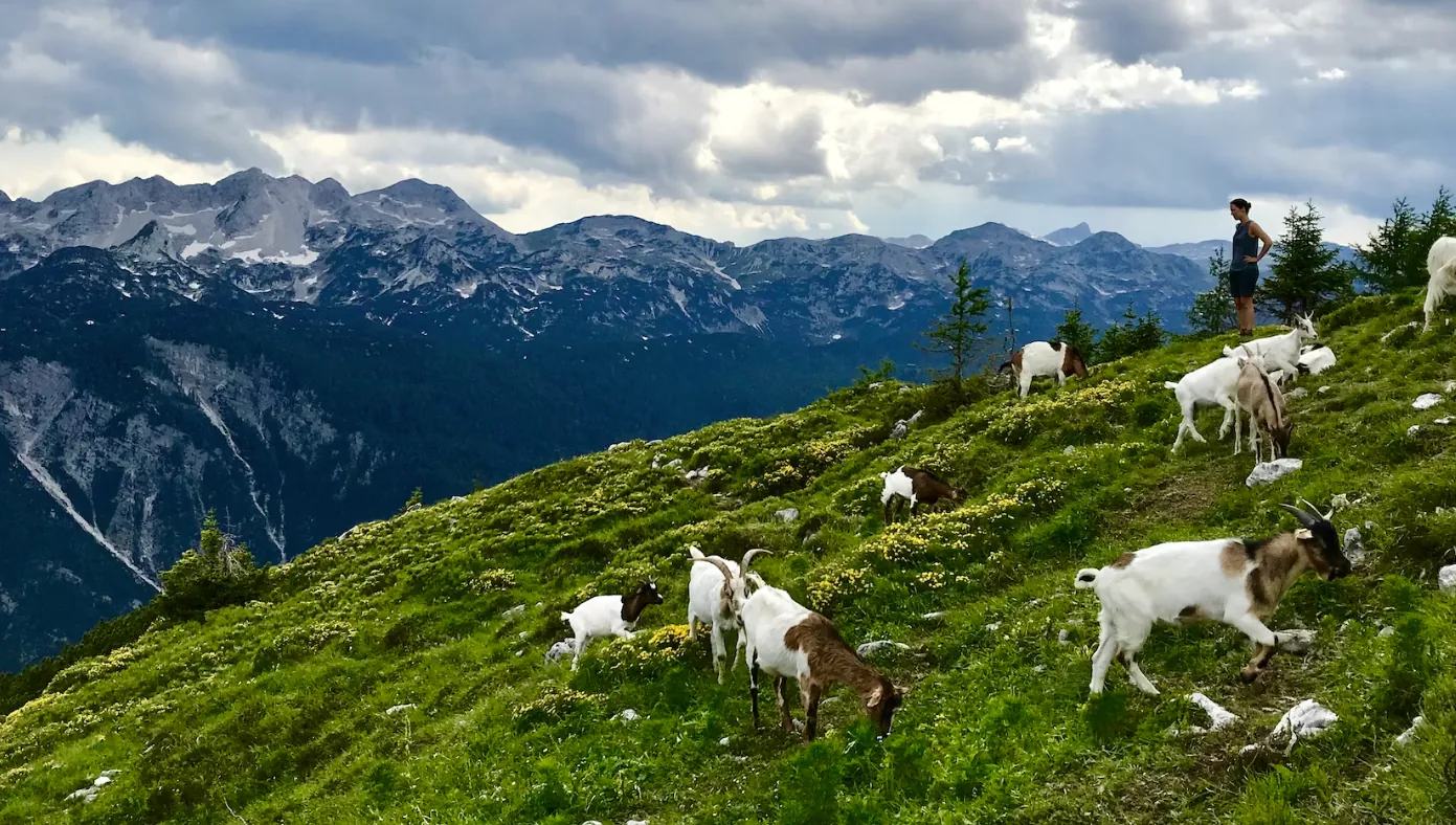 bled_sports_hike