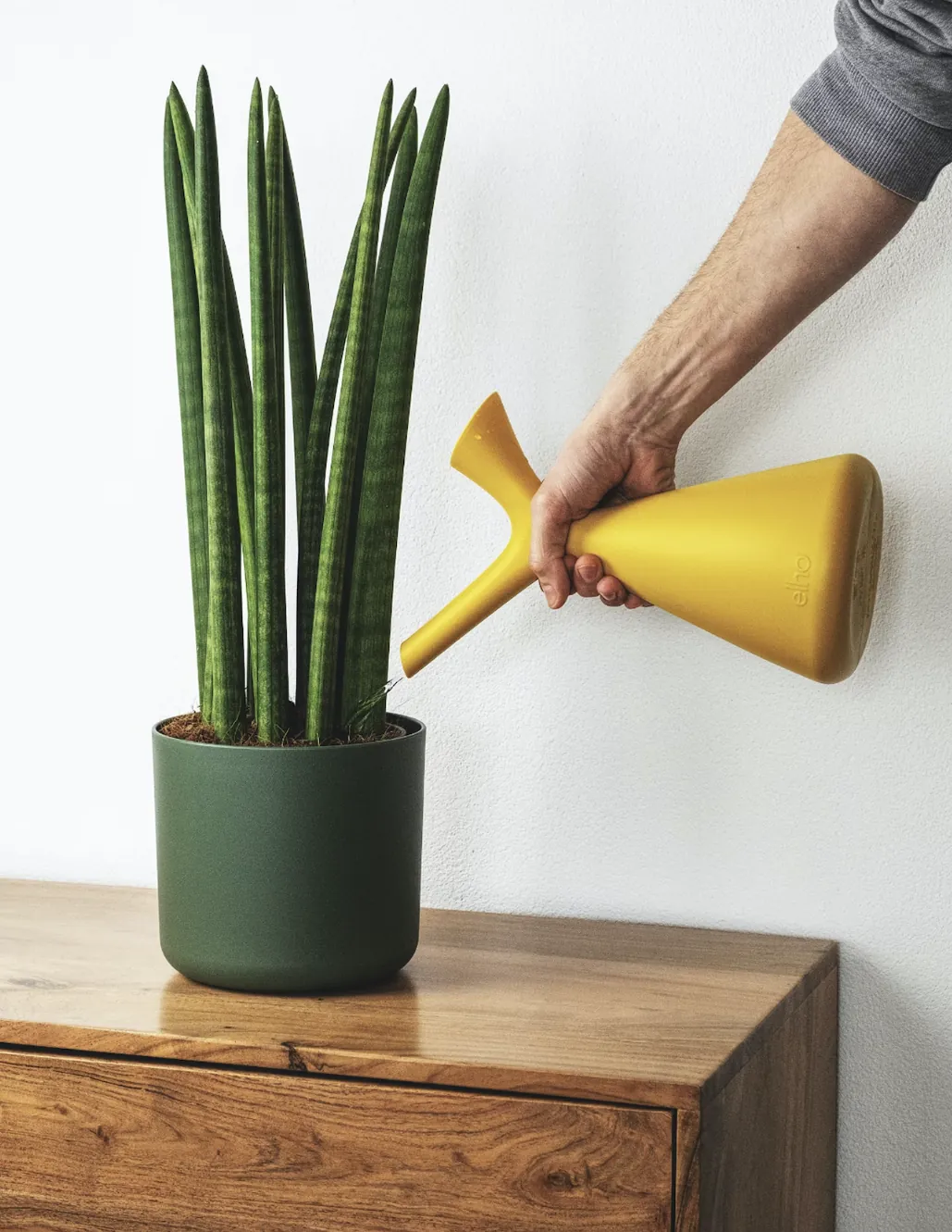 watering_plants